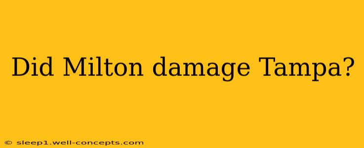 Did Milton damage Tampa?