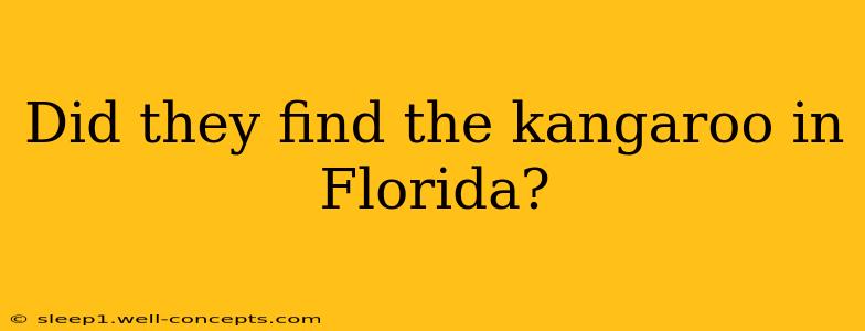 Did they find the kangaroo in Florida?