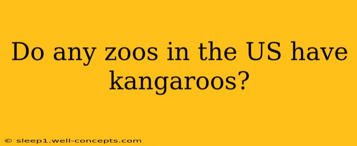 Do any zoos in the US have kangaroos?