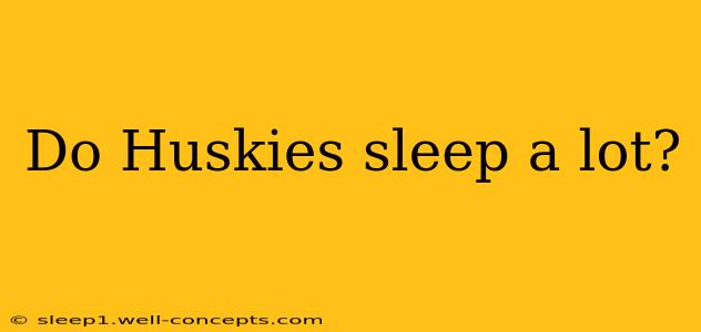 Do Huskies sleep a lot?