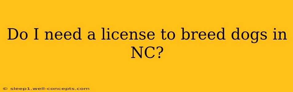 Do I need a license to breed dogs in NC?