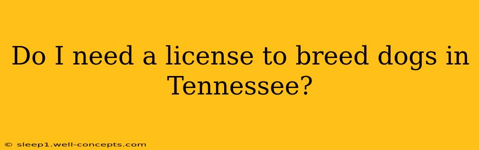 Do I need a license to breed dogs in Tennessee?