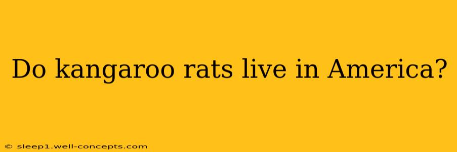 Do kangaroo rats live in America?