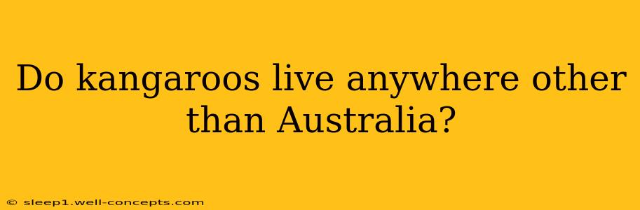 Do kangaroos live anywhere other than Australia?