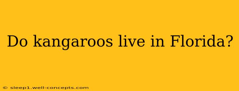 Do kangaroos live in Florida?