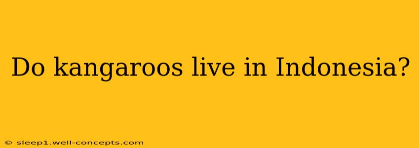 Do kangaroos live in Indonesia?