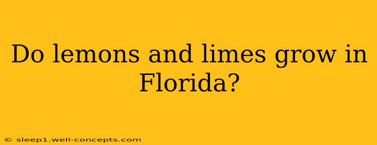 Do lemons and limes grow in Florida?