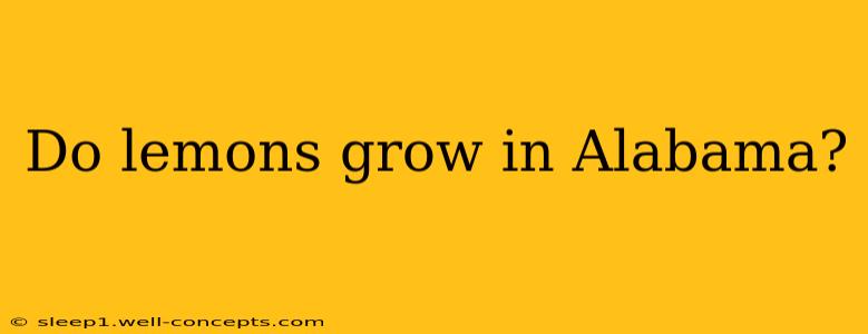 Do lemons grow in Alabama?