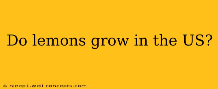 Do lemons grow in the US?