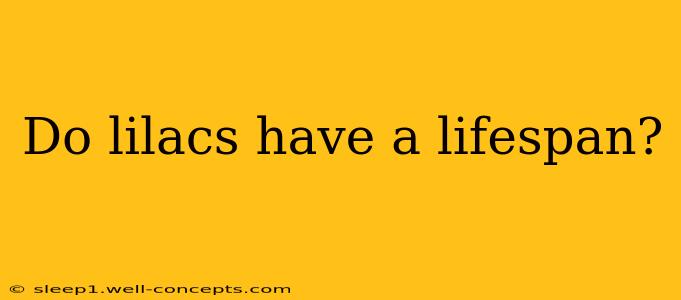 Do lilacs have a lifespan?