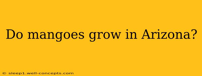 Do mangoes grow in Arizona?