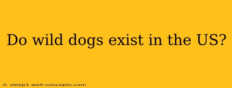 Do wild dogs exist in the US?