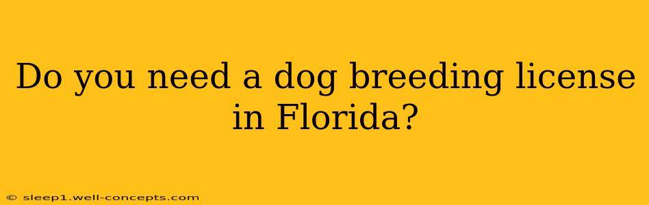 Do you need a dog breeding license in Florida?