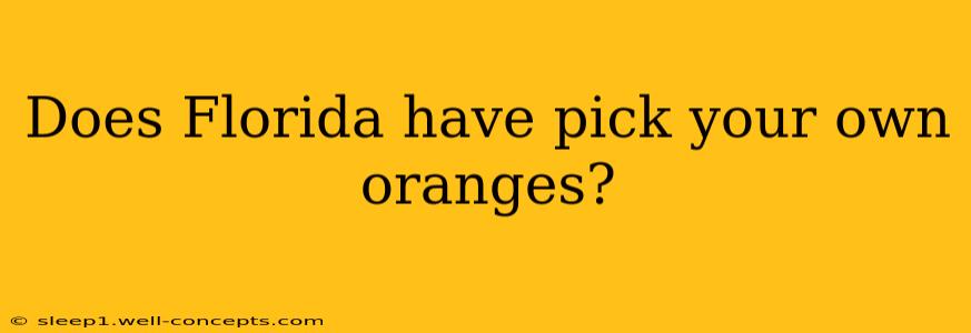 Does Florida have pick your own oranges?