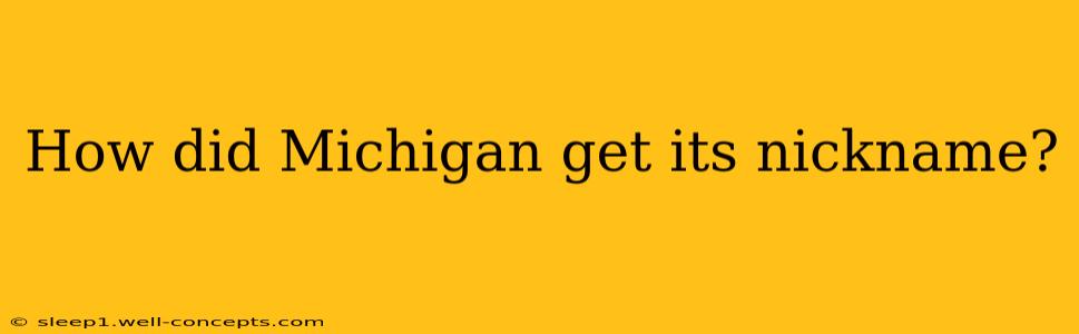 How did Michigan get its nickname?