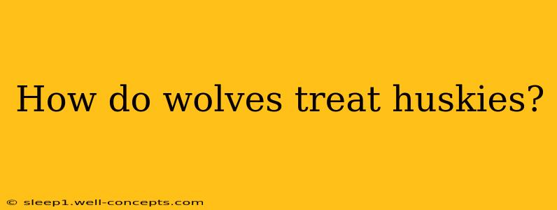 How do wolves treat huskies?