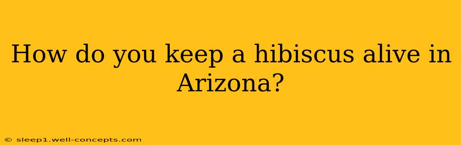 How do you keep a hibiscus alive in Arizona?