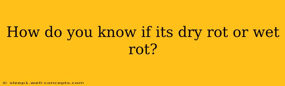 How do you know if its dry rot or wet rot?