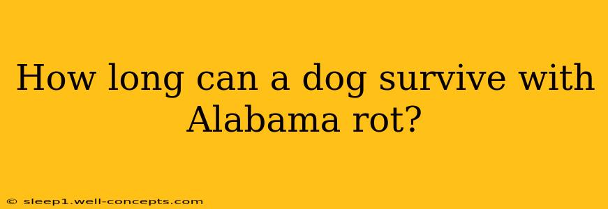 How long can a dog survive with Alabama rot?