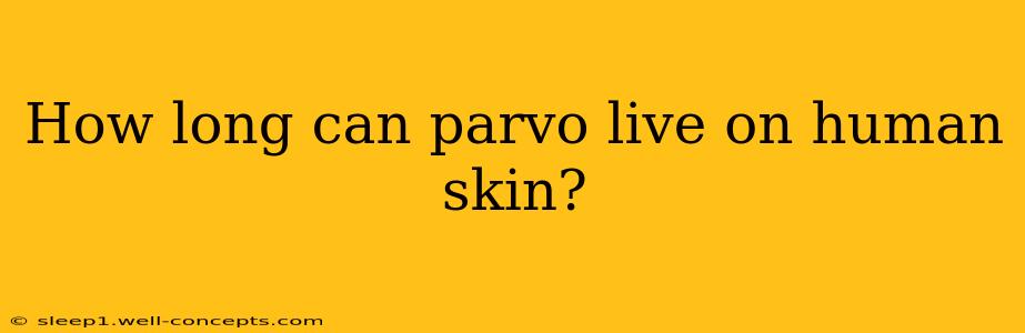 How long can parvo live on human skin?