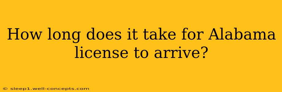 How long does it take for Alabama license to arrive?