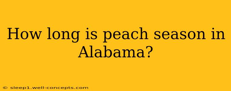 How long is peach season in Alabama?