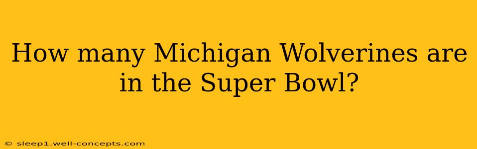 How many Michigan Wolverines are in the Super Bowl?