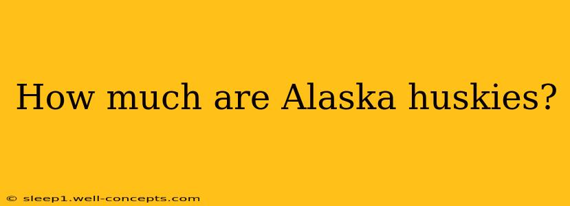 How much are Alaska huskies?