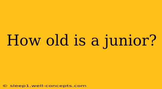 How old is a junior?