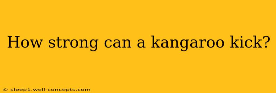 How strong can a kangaroo kick?