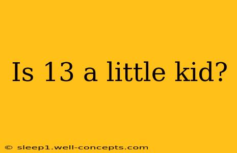 Is 13 a little kid?