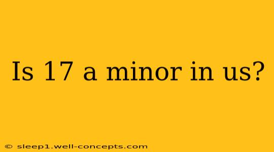 Is 17 a minor in us?