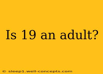 Is 19 an adult?