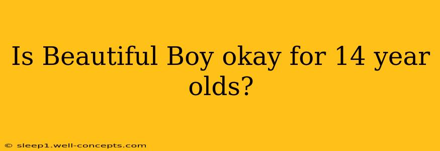 Is Beautiful Boy okay for 14 year olds?