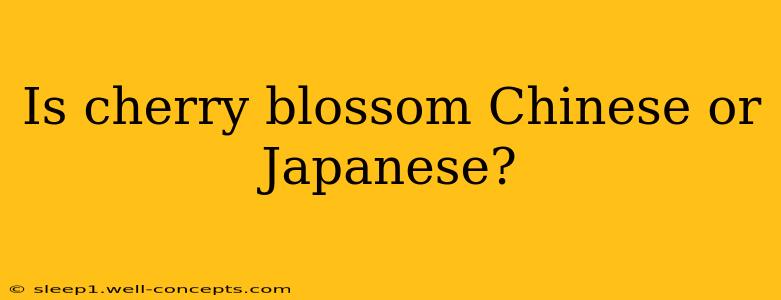 Is cherry blossom Chinese or Japanese?