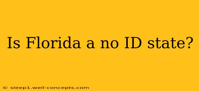 Is Florida a no ID state?