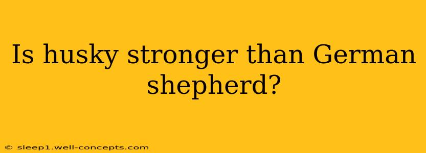 Is husky stronger than German shepherd?