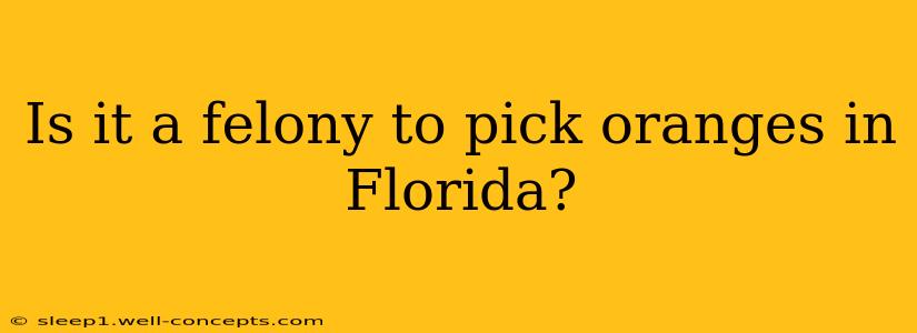 Is it a felony to pick oranges in Florida?