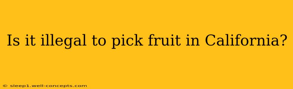 Is it illegal to pick fruit in California?