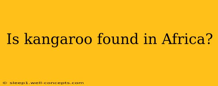 Is kangaroo found in Africa?