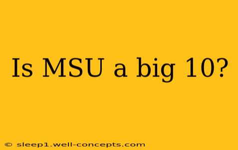 Is MSU a big 10?