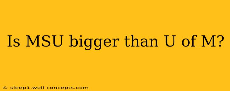 Is MSU bigger than U of M?