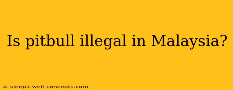 Is pitbull illegal in Malaysia?