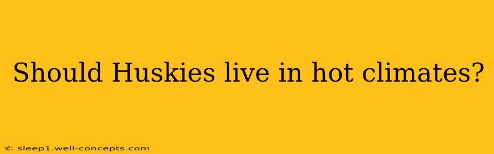 Should Huskies live in hot climates?