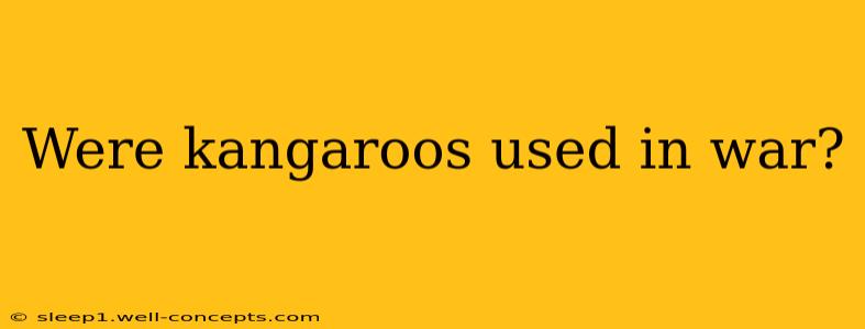 Were kangaroos used in war?