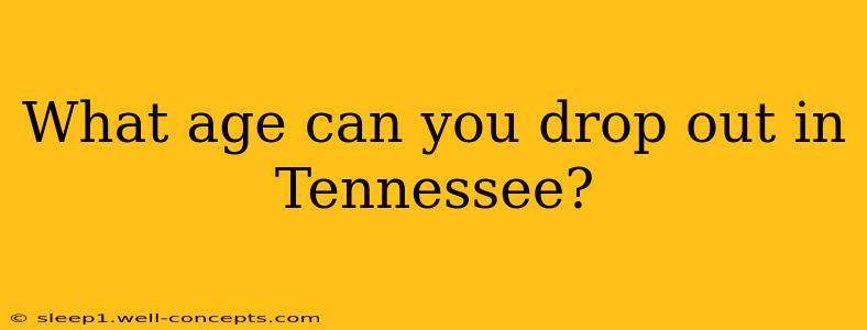 What age can you drop out in Tennessee?