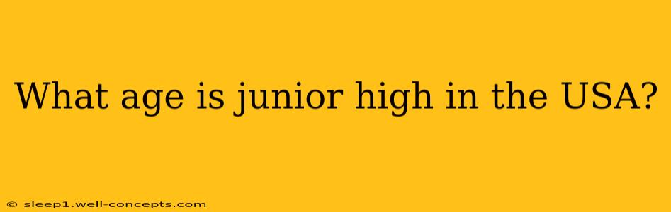 What age is junior high in the USA?