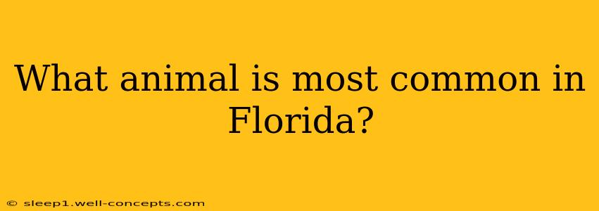 What animal is most common in Florida?