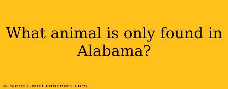 What animal is only found in Alabama?