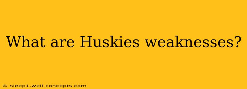 What are Huskies weaknesses?